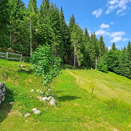 Koca Na Planini Jelje - Pokljuka *