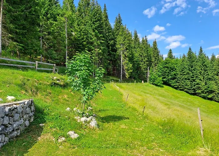 Koca Na Planini Jelje - Pokljuka *